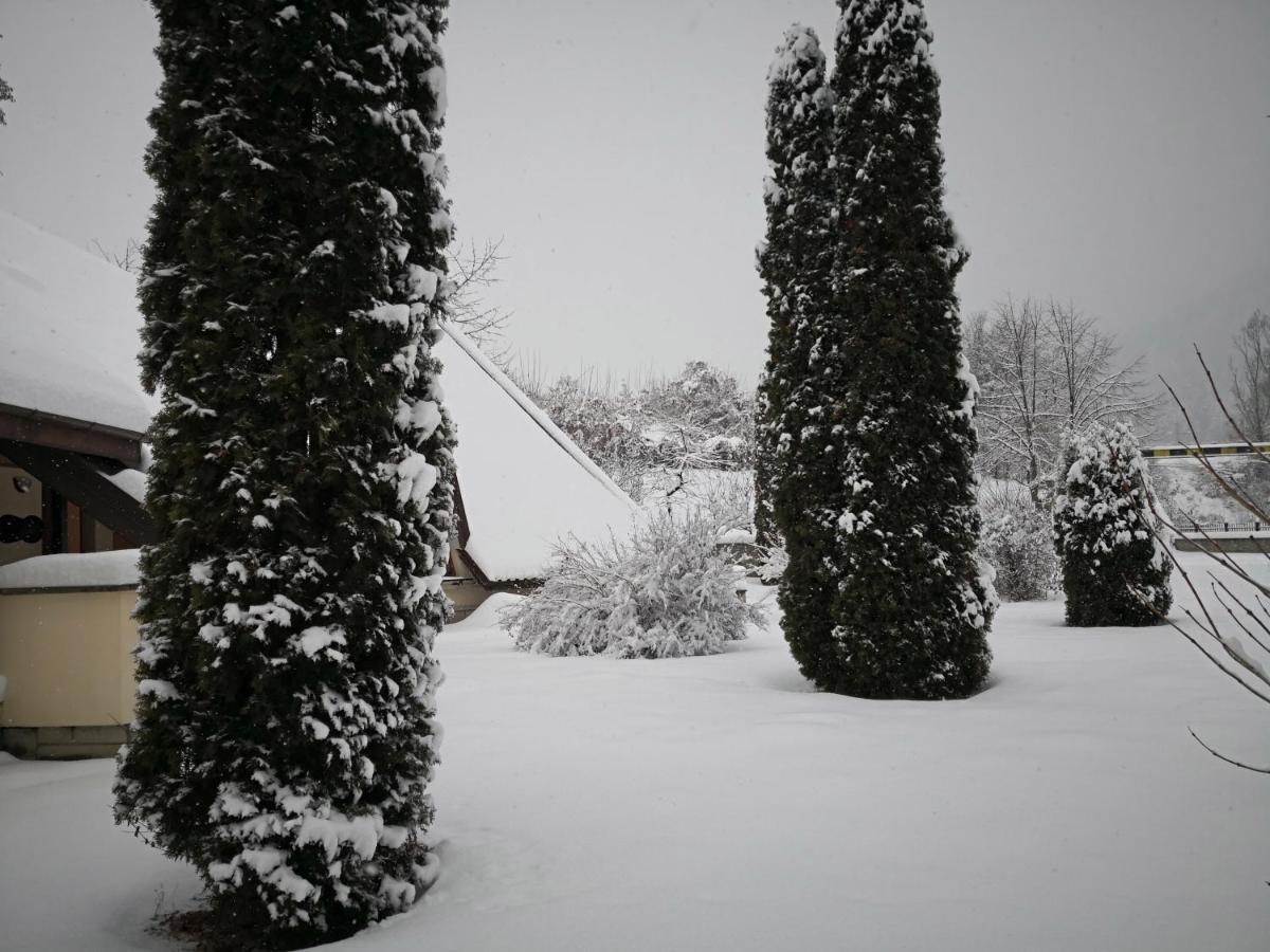 Castelul De Smarald Bed & Breakfast